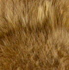 PREMIUM Baby Alpaca Fur Buffalo Hat With Ear Flaps