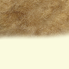 Alpaca Coat Sweater with Fur